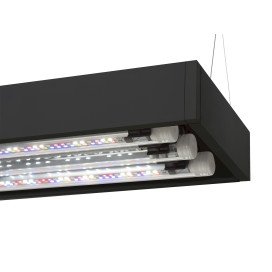 PLAFONIERA ULTRA SCAPE 90 FOREST 4*14W LT AQUAEL
